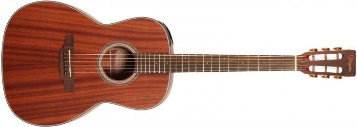 Takamine GY11ME